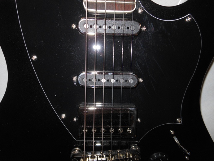 Surfliner Deluxe Picture 13